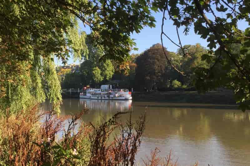 Secret River Garden - image