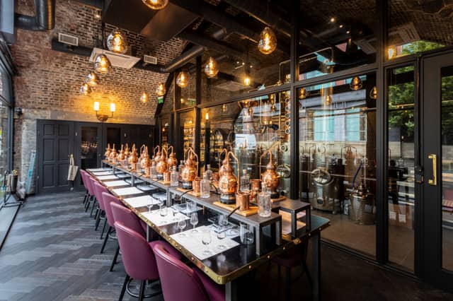 Gin School - image