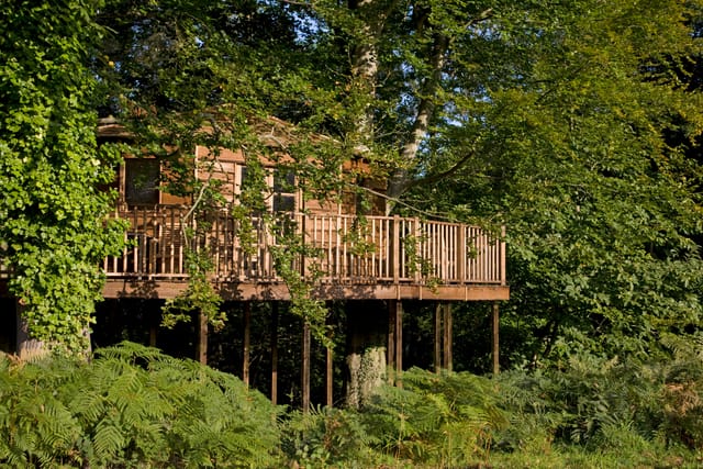 The Treehouse - image