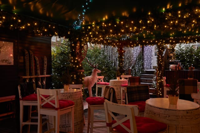 The Ski Lodge - image