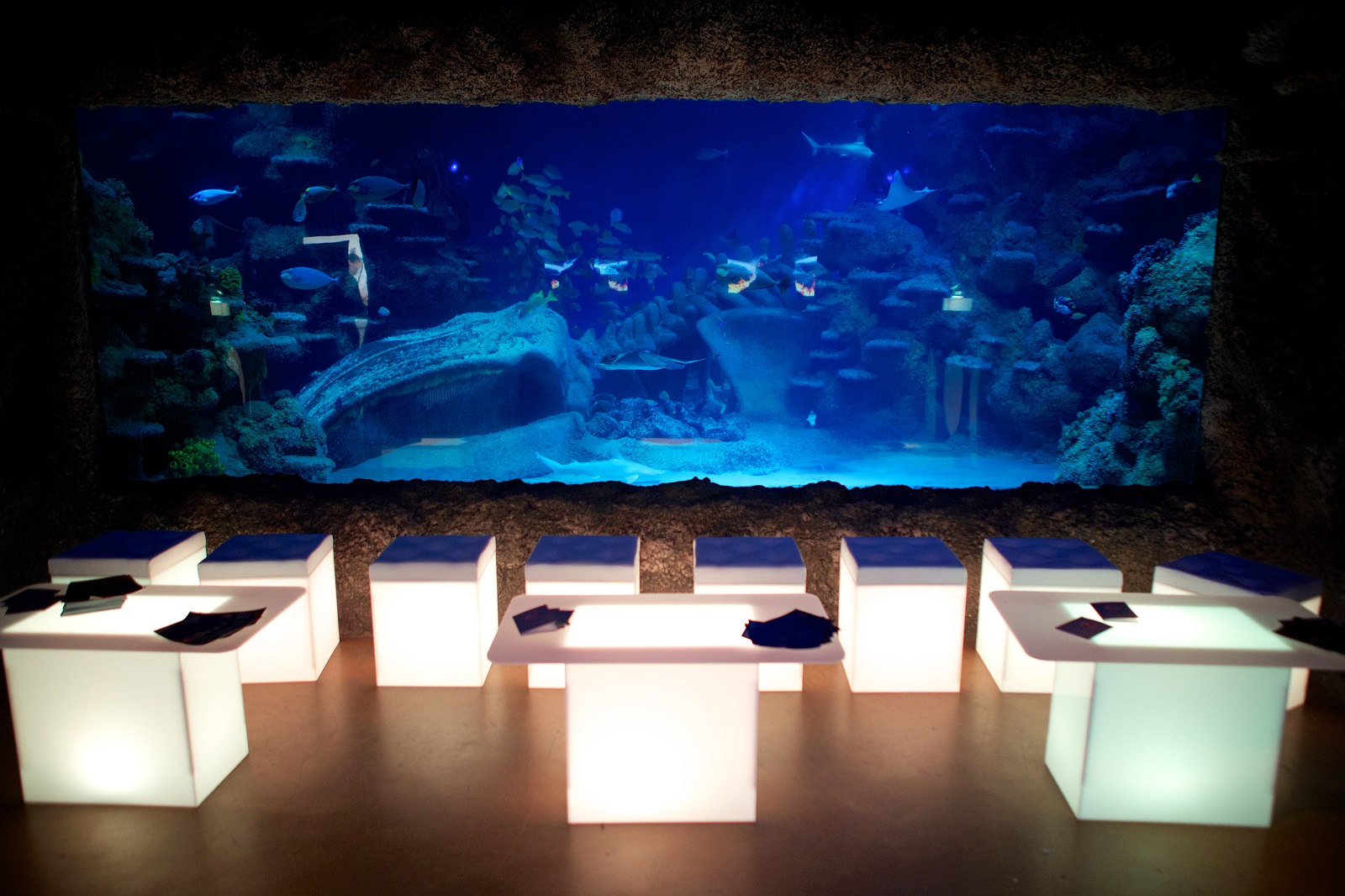 Illuminated tables in SEA LIFE London Aquarium event space for networking and gatherings. - Banner