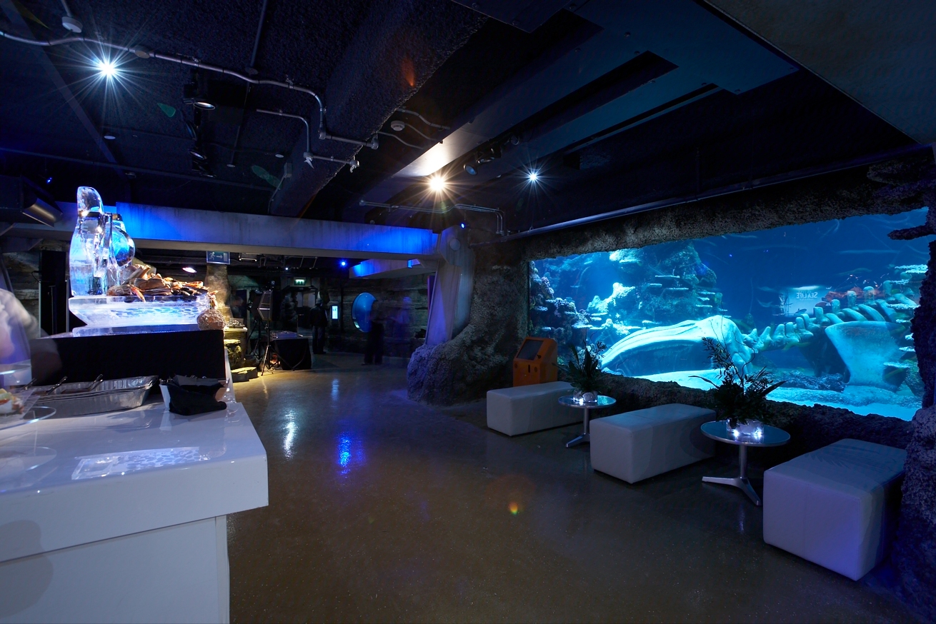 Underwater venue at SEA LIFE London Aquarium for unique events and cocktail receptions. - Banner