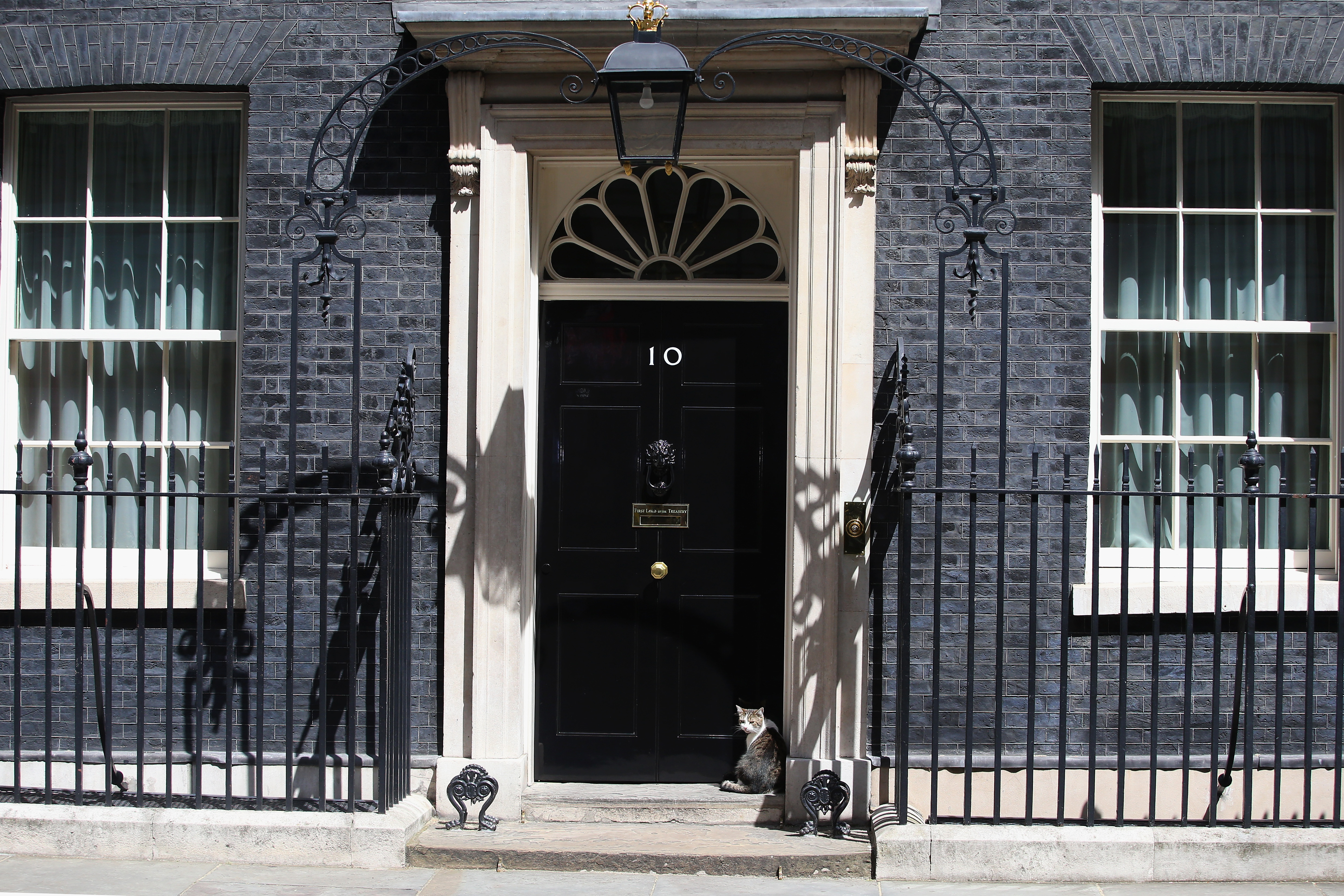 Filming at RSA House with iconic entrance and charming cat for diplomatic events.