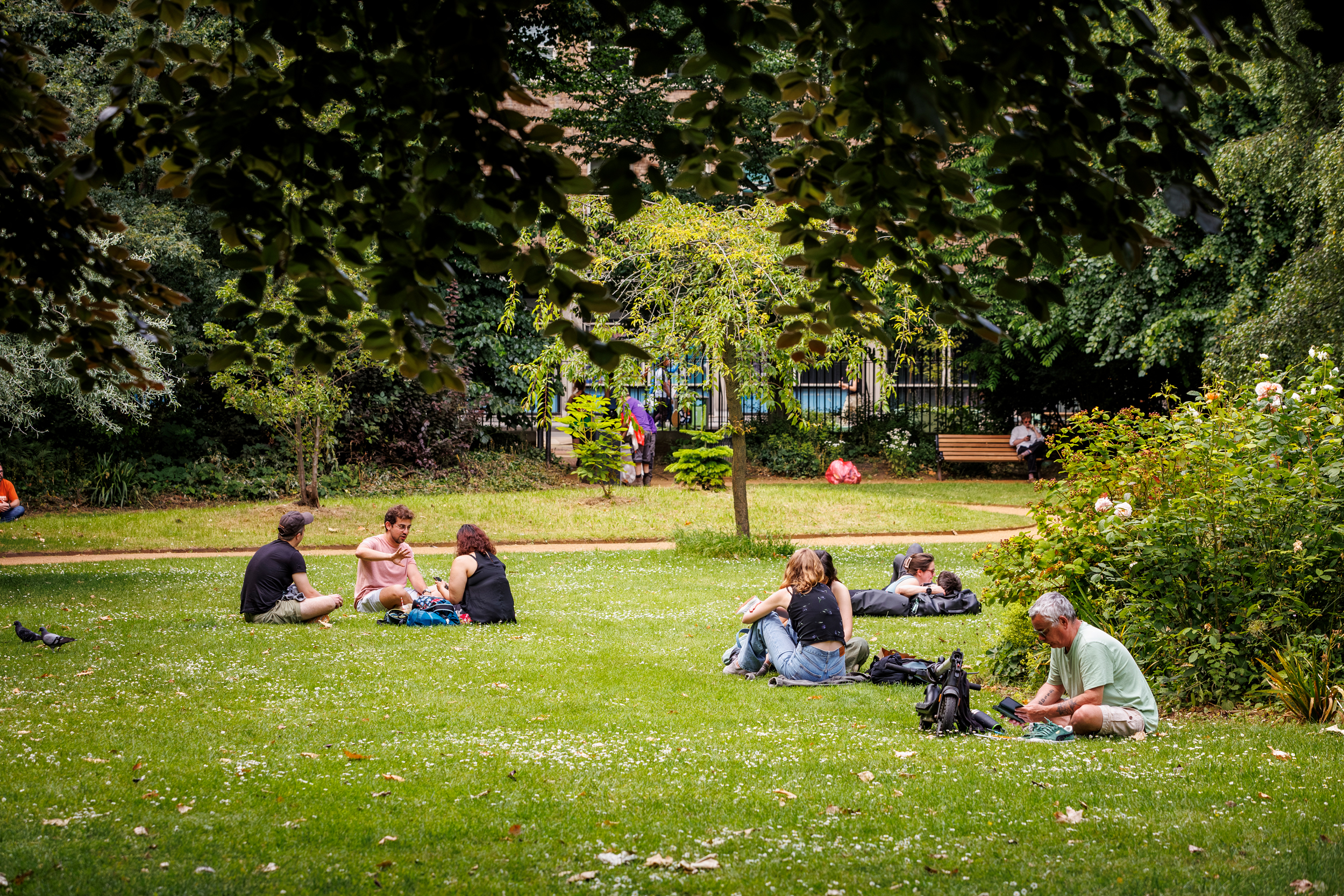 University London Gordon Square outdoor networking picnic venue