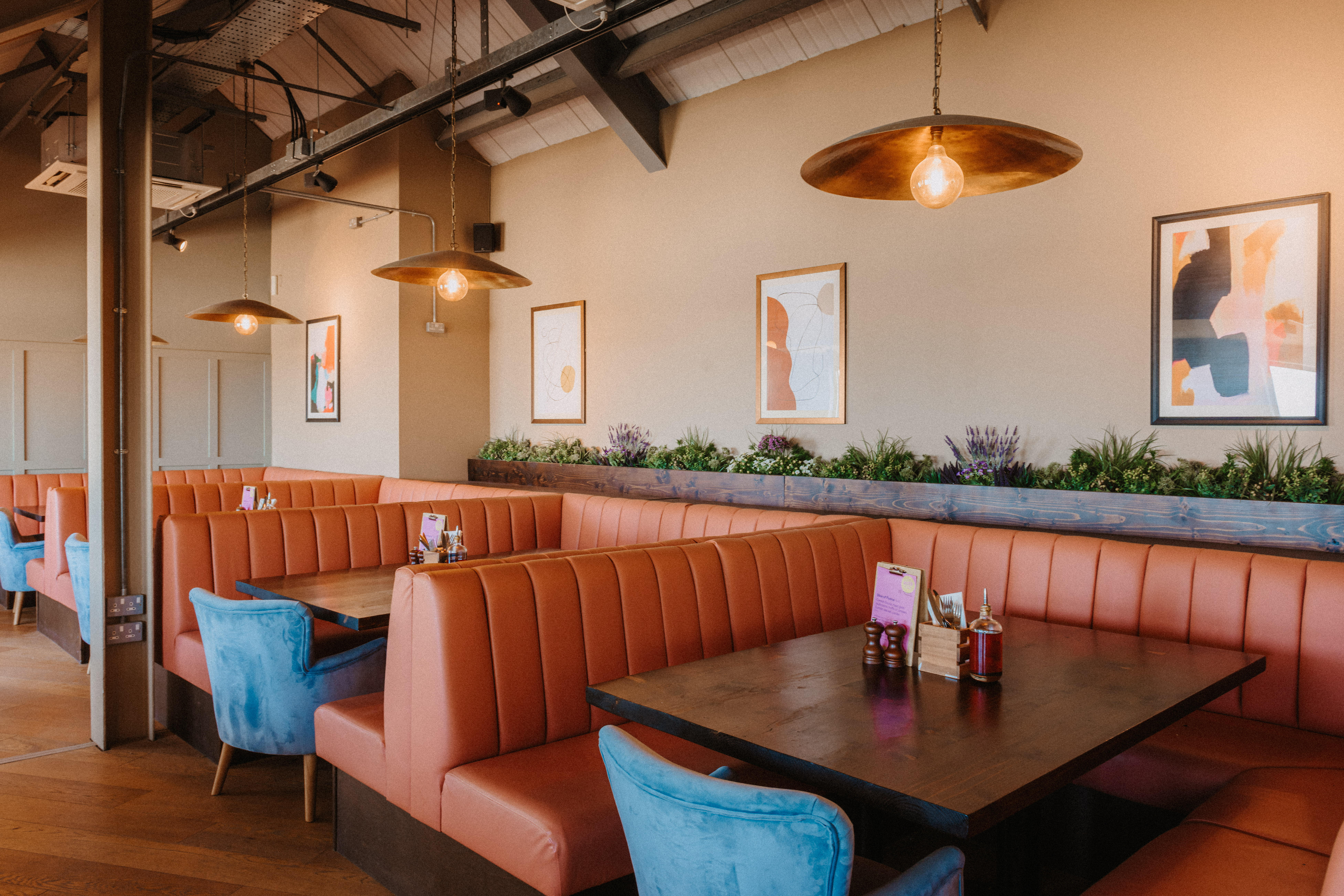 The Sandy Duck - image 1