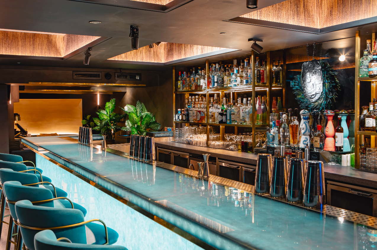 Chic bar, VIP event, upscale cocktail reception