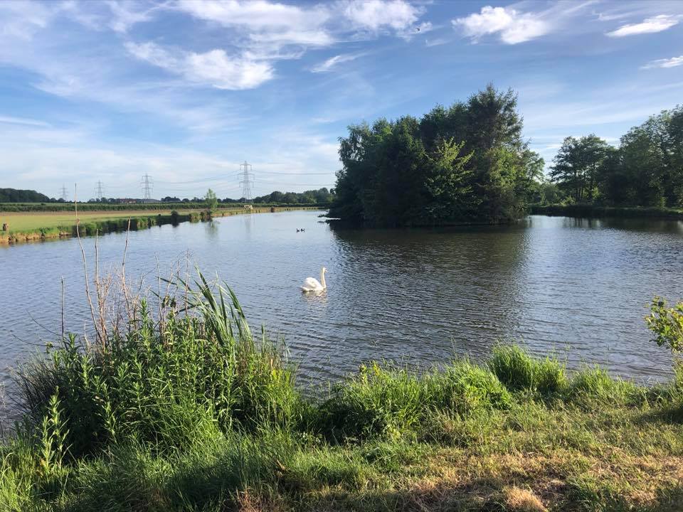 Serene outdoor grounds at Low Osgoodby Grange, perfect for retreats and wellness events.