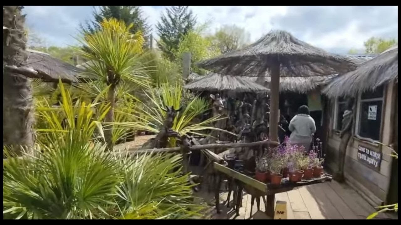 Vibrant outdoor venue with tropical landscaping for casual gatherings and team-building events.