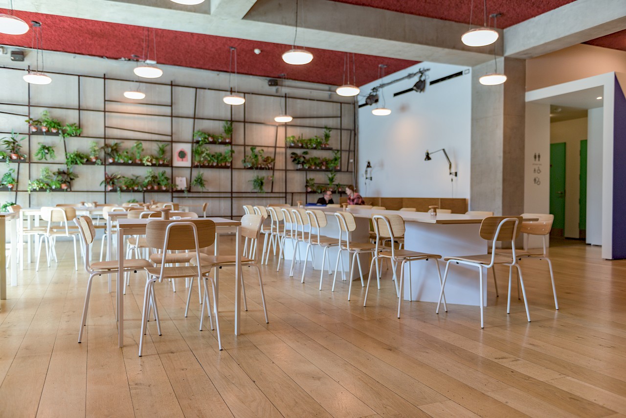 Modern event space at Nottingham Contemporary with greenery, ideal for workshops and meetings.